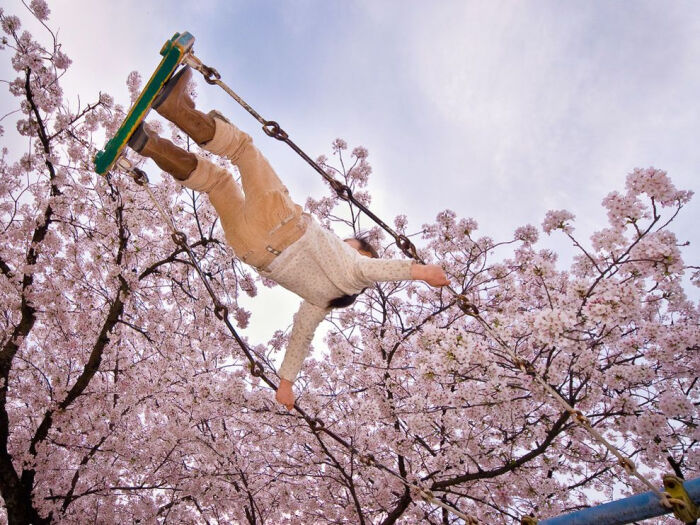 樱花树下荡秋千,日本 摄影:kevin cozma, 在日本,樱花代表春天
