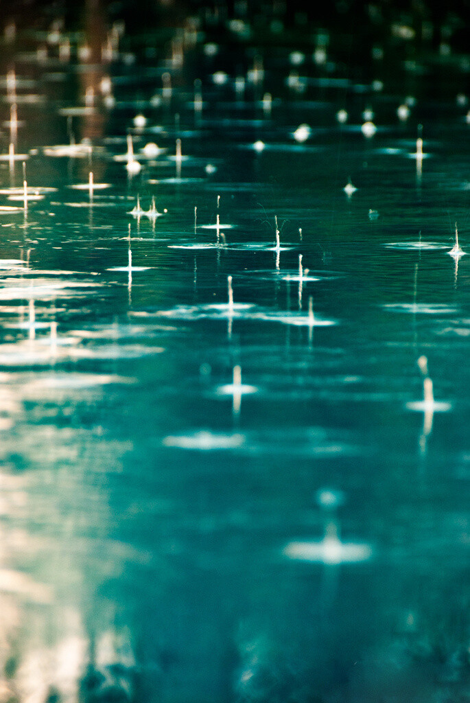 烂漫的雨滴| 摄影师:bator horvath