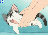 起司猫 