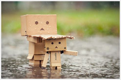 在大的雨也有你的陪伴