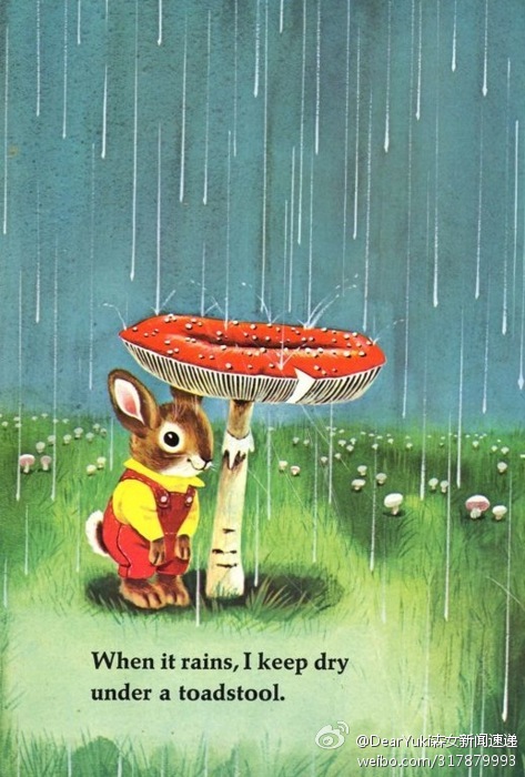 下雨天的时候,我一般都在小蘑菇底下躲雨