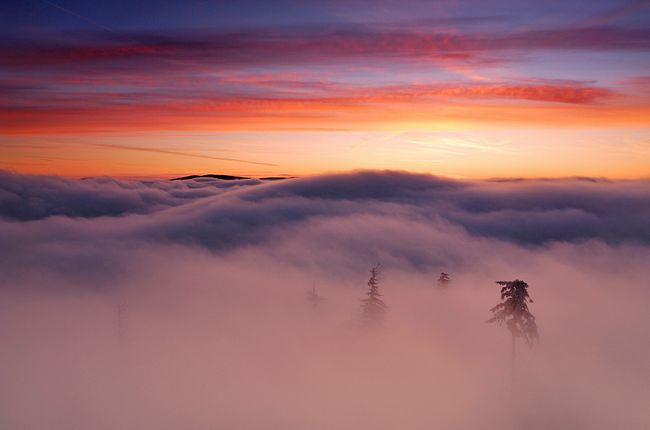 雾海朦胧.by michal ostrowski