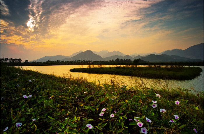 广东江门的银湖湾,夕阳无限好,暖了湖面,暖了小花