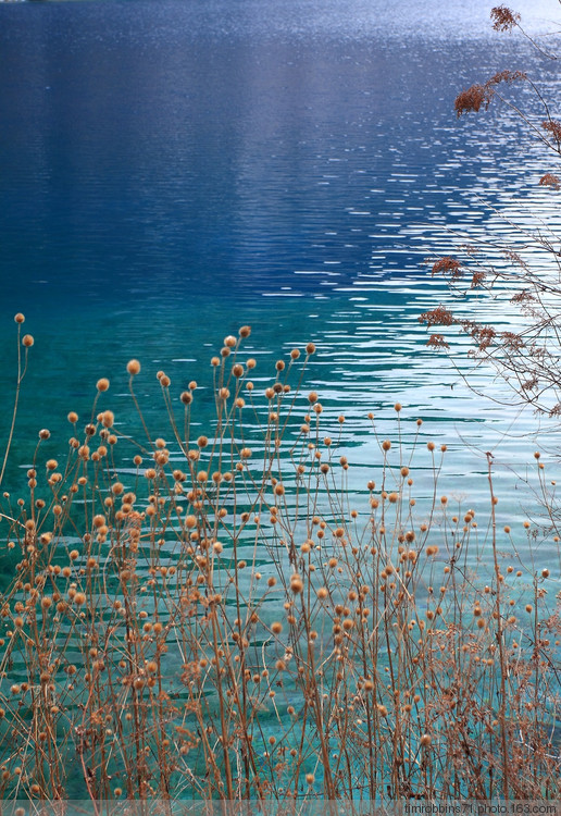 深邃恬静,沉默中蕴蓄着暴烈,安谧中隐藏着桀骜.