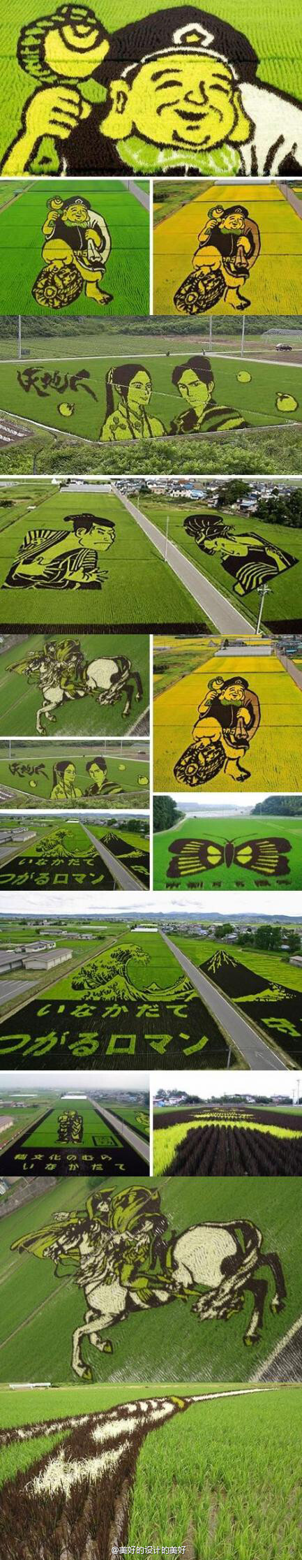 日本稻田艺术作品,比麦田怪圈更为惊人.