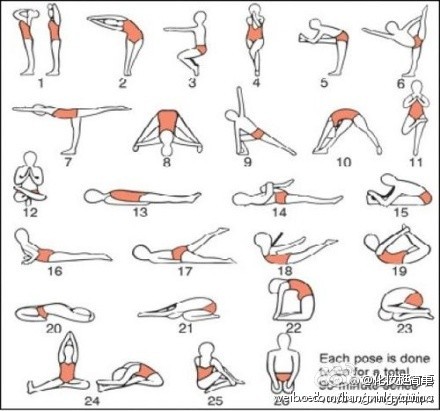 瑜伽26个经典动作图片