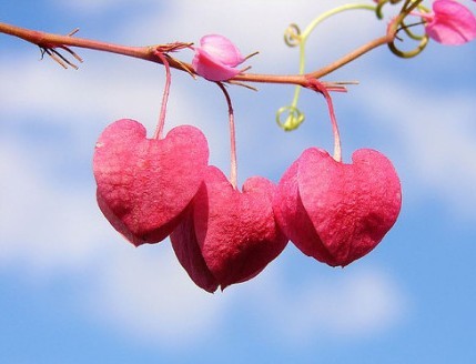 走远了再回头看,很多事已经模糊,很多人已经淡忘,只有很少700_535