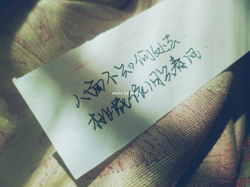 人面不知何处去 桃花依旧笑春风.
