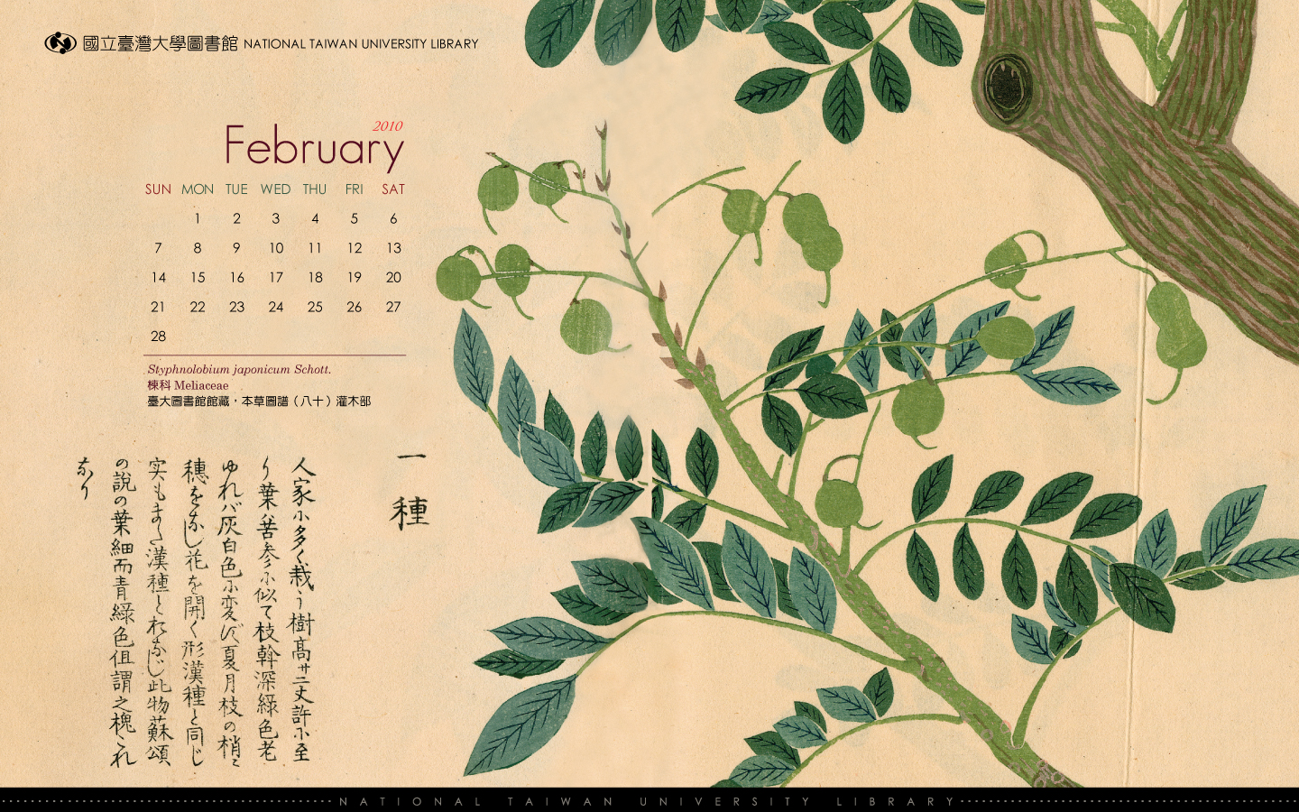 february 2010 贰月