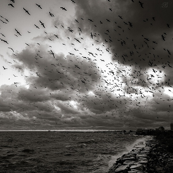 心如大海,但希望未曾灰暗