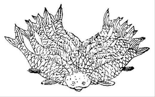 【异兽】何罗鱼 《山海经·北山经》:"谯明之山,谯水出焉,西流注于河.