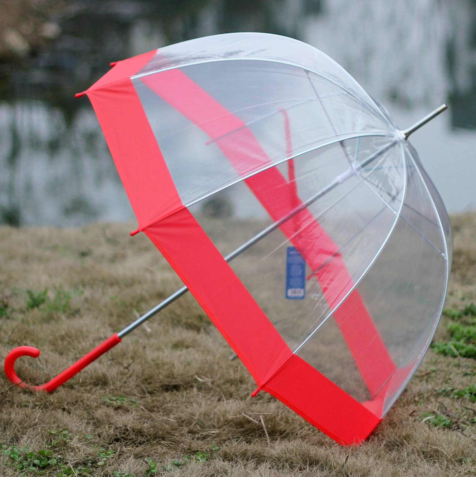 韩版可爱 超拱长柄透明伞