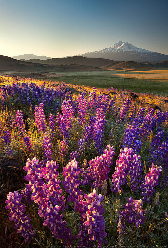 摄影:sean bagshaw