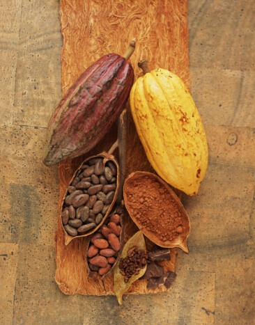 cocoa pods and chocolate products