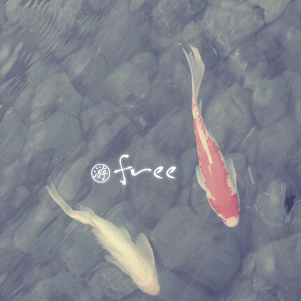 鱼——陈绮贞.