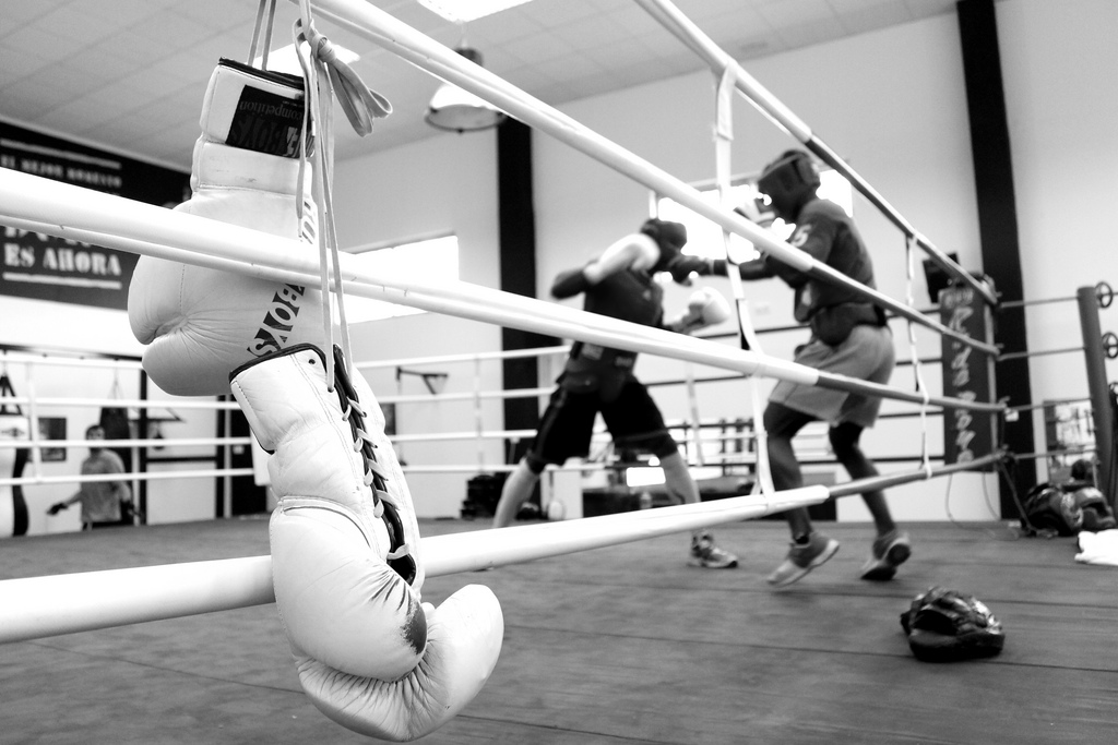 boxing 拳击; boxer 拳击运动员