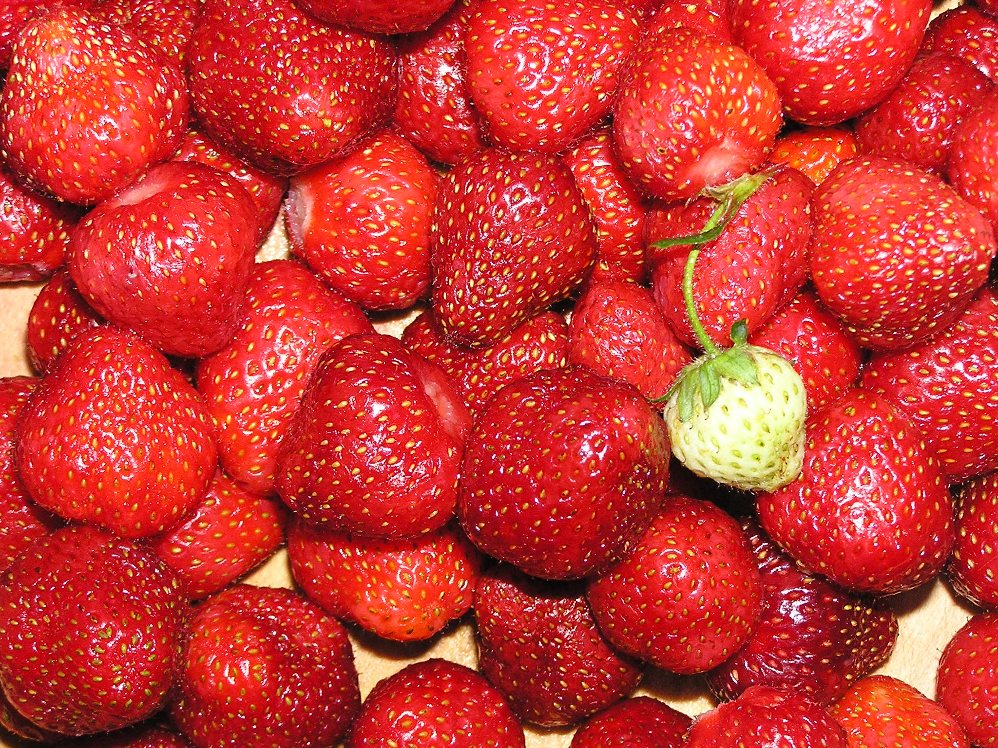 发图非要说话么= =就是群被我吃掉前留下照片的草莓而已.