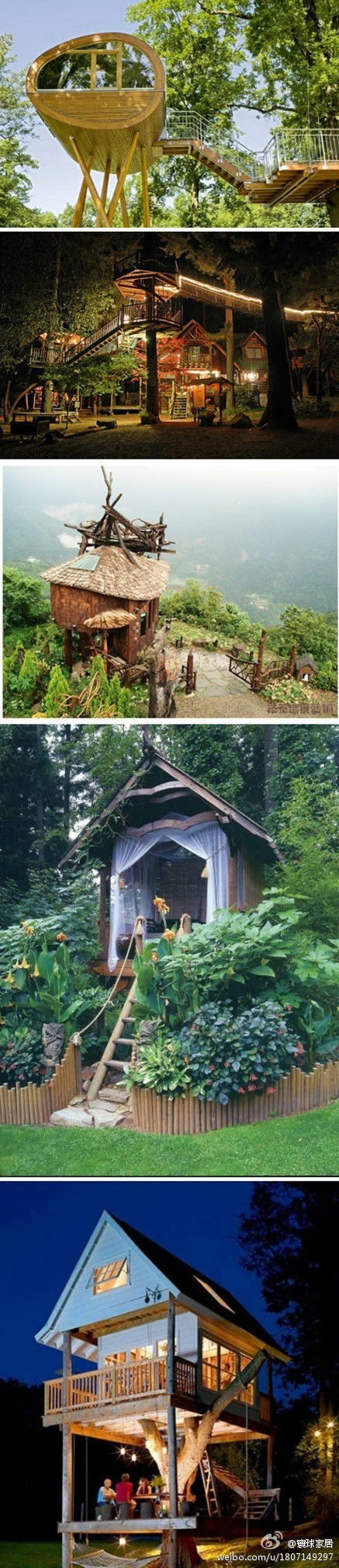 置身山林,拥有一个山中小木屋