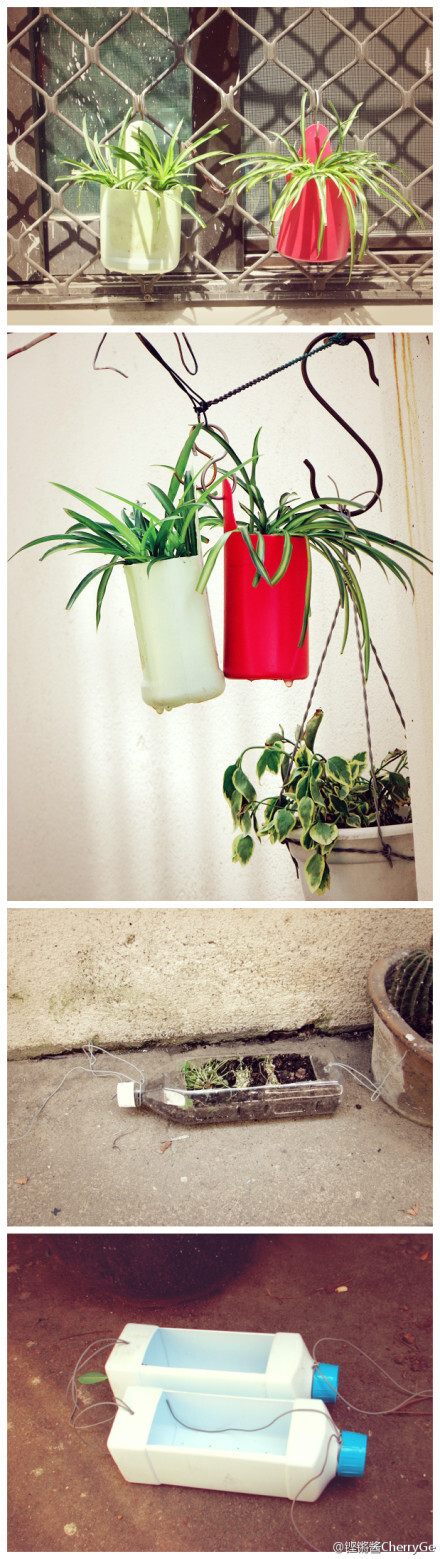 第一,二张是用洗头膏瓶子做的悬挂式花盆