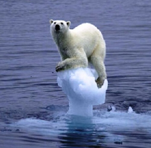 this is what happens…. global warming
