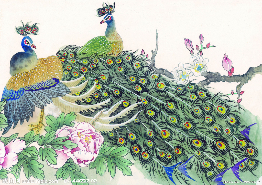 孔雀设计图__绘画书法_文化艺术_设计图库