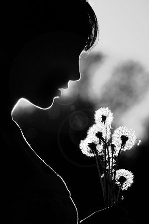 蒲公英,b & w,lightpainter,蒲公英,花,梦境,剪影