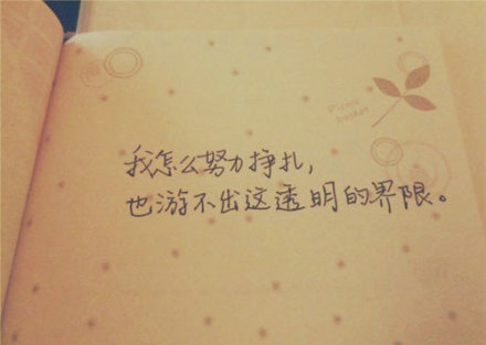 明明是如此关心,却要装作毫不在乎.