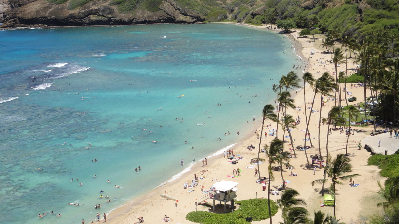 夏威夷海摊.不朽的夏日里,我只爱这样的风景.