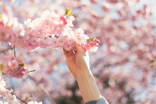 伸出手,触碰到幸福