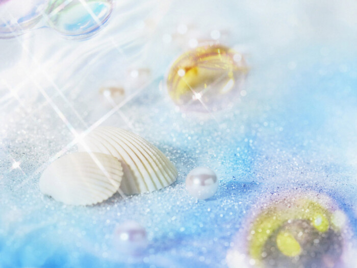 海里的贝壳