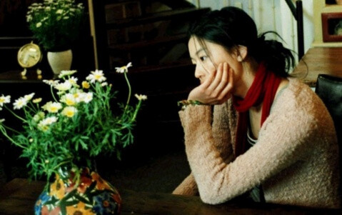 一个喜欢雏菊的女孩
