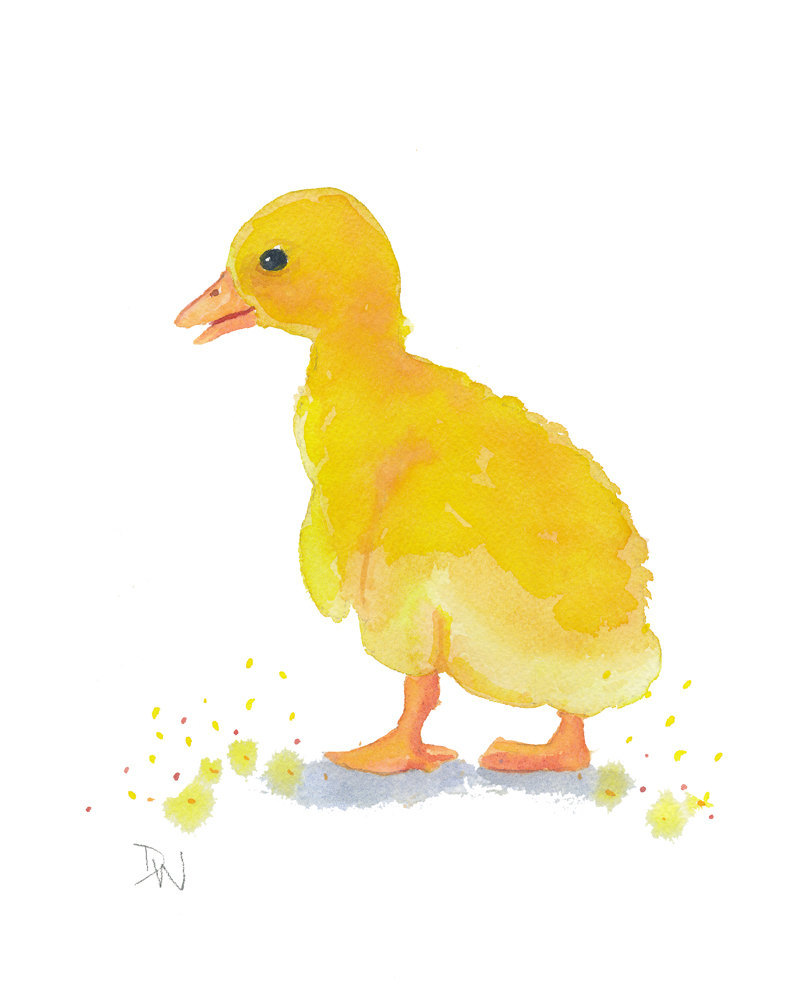 original duckling watercolor - duck, animal illustration