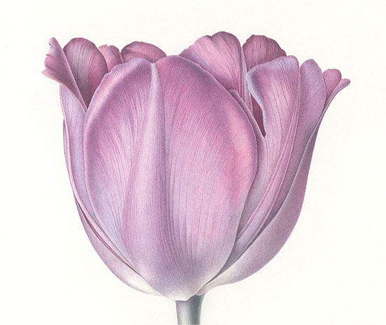 com/art-does-not-reproduce-the-visible-rather-it-makes-visible