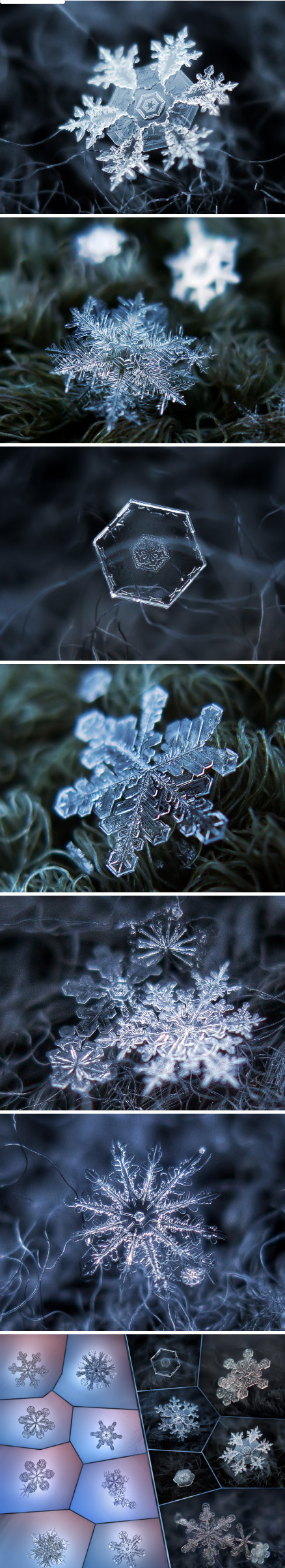 近观雪花之美,每一片雪花,都是独一无二的自然杰作.