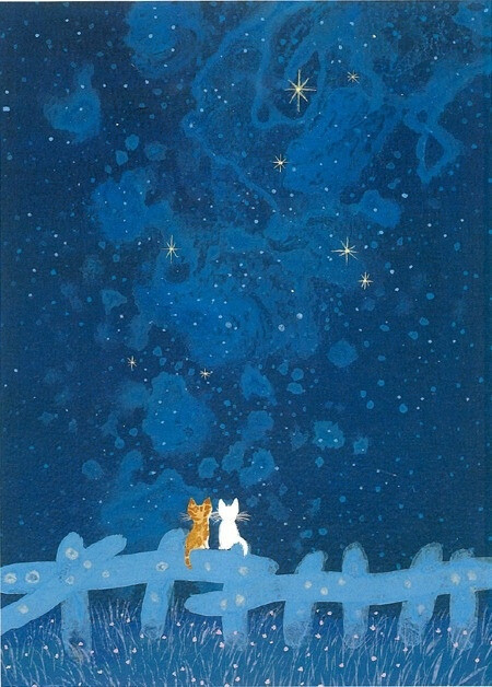 星空猫孤独图片