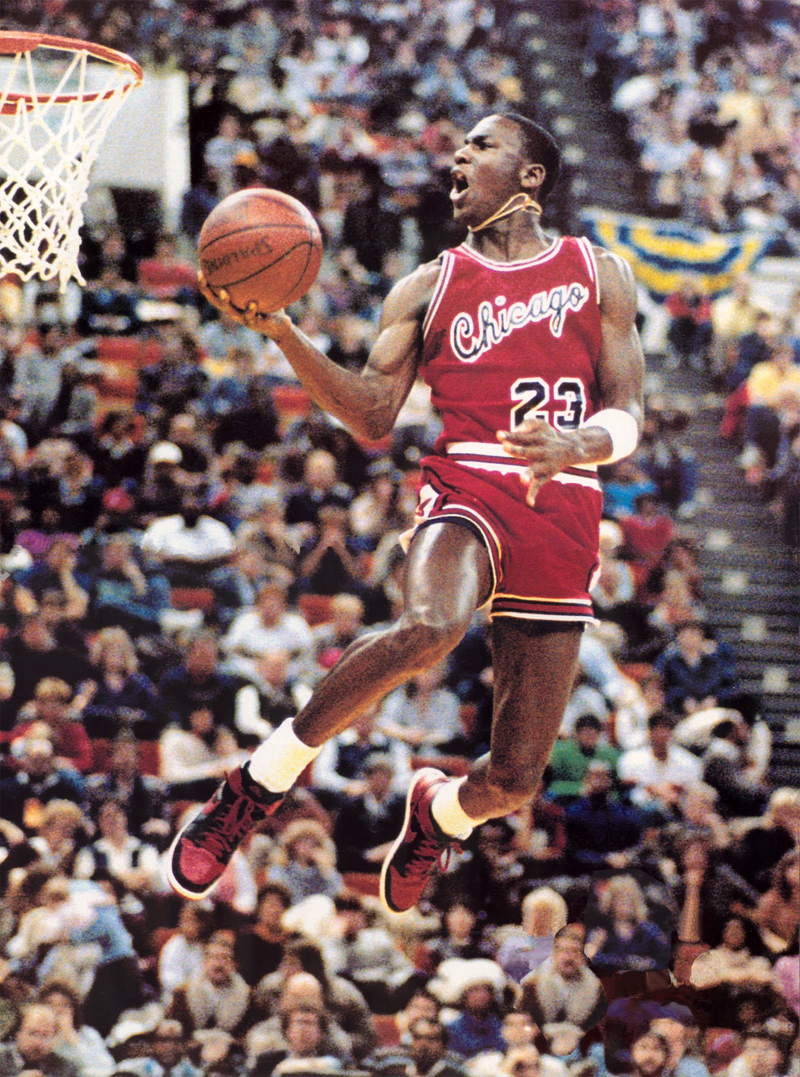 2012年8月18日 22:50   关注   michaeljordan1985.