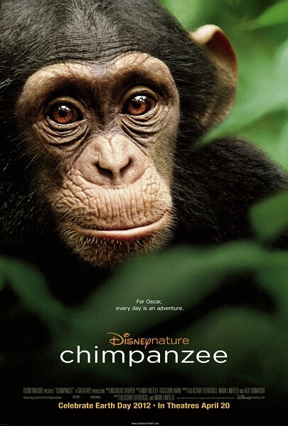 最新高分纪录片《黑猩猩》, 这是
