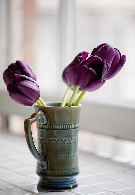 o,花,郁金香,杯子,那时花开