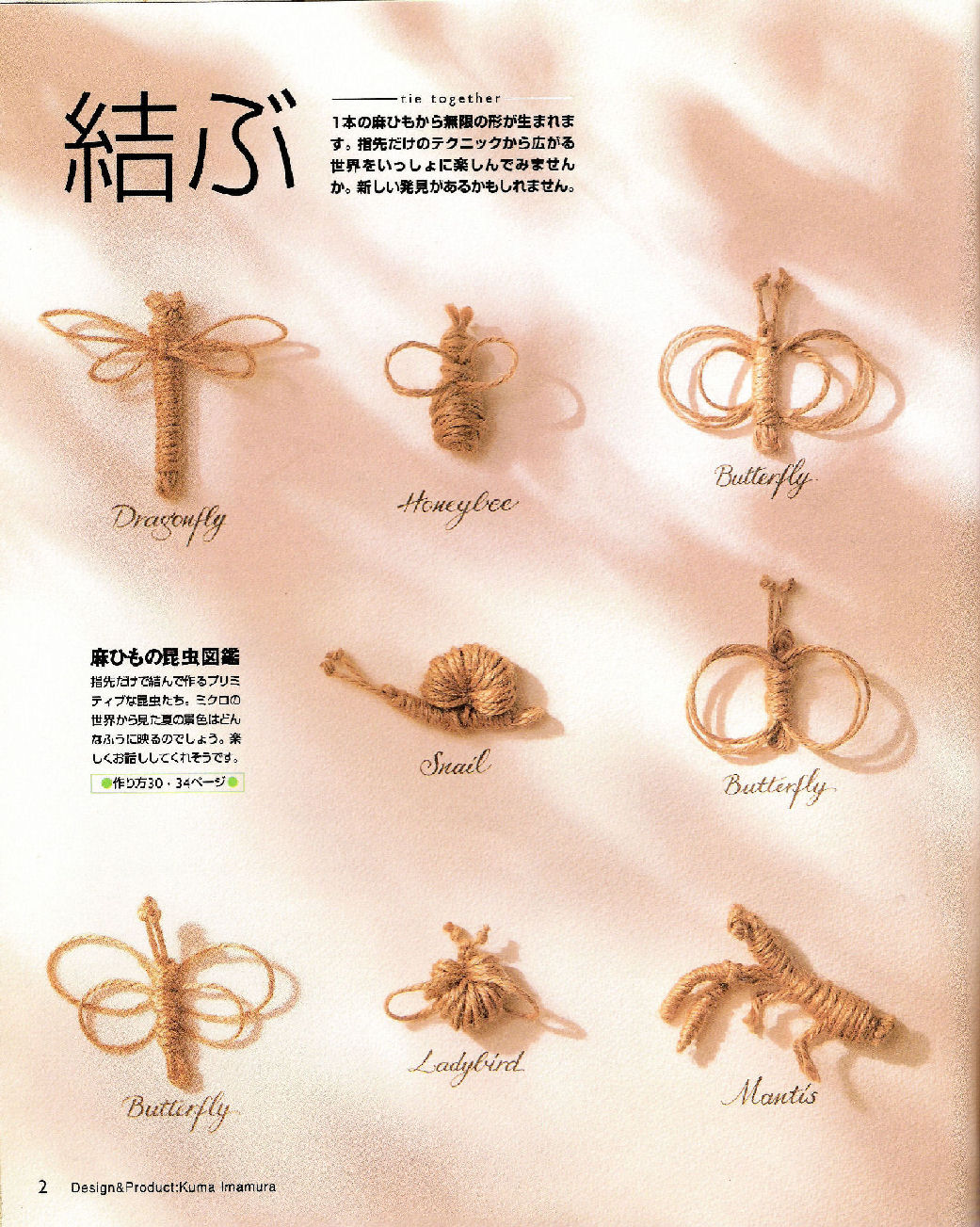 麻绳动物.