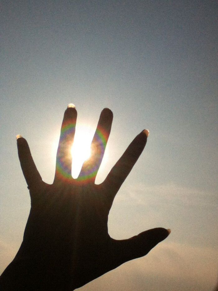 手遮太阳照片图片