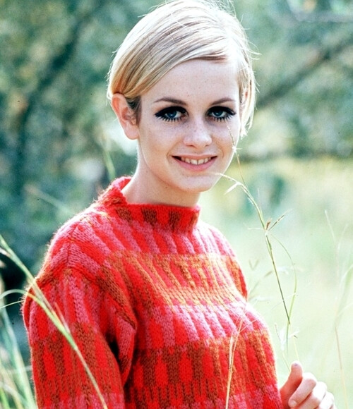 twiggy 在20岁时就正式结束了自己的模特工作,短短