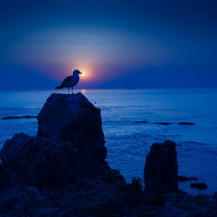 《破晓》(山东威海) 作者:夏斌