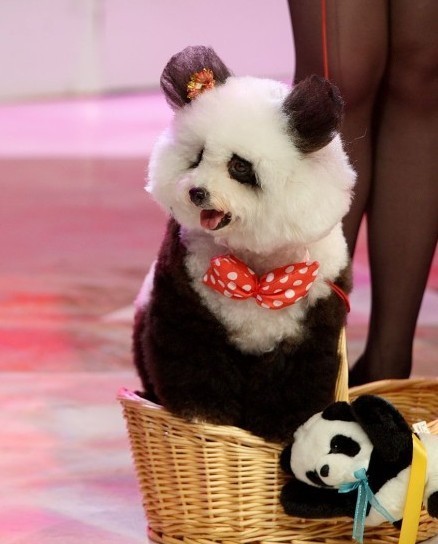 带这货上街可是会被警察叔叔抓的呦