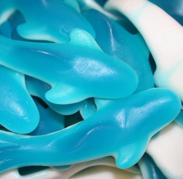 海豚橡皮糖