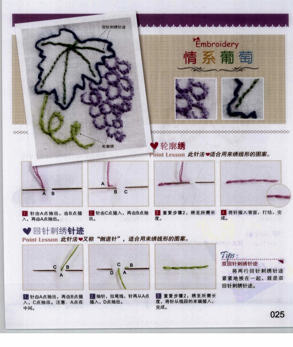 绣花针简谱_绣花针草药的图片(2)