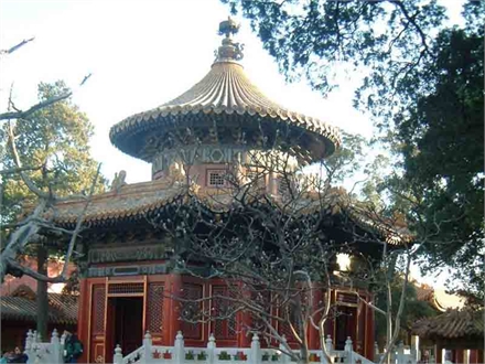 浮碧亭位于御花园的东北,亭北正对倚园北墙而建的摛藻堂,正南是万春亭