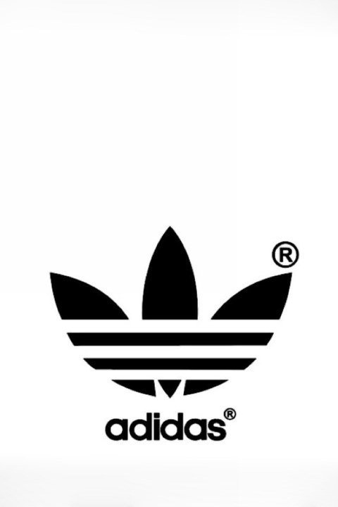 三叶草 图片