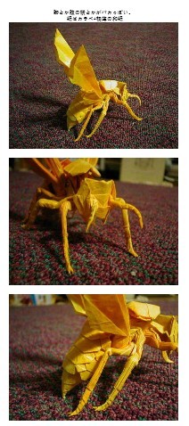 折纸黄蜂2.6图片