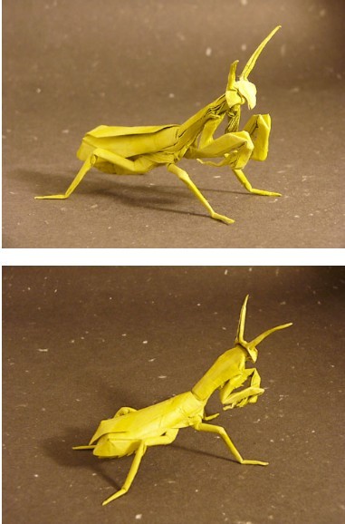 用一张纸折一只大螳螂图片