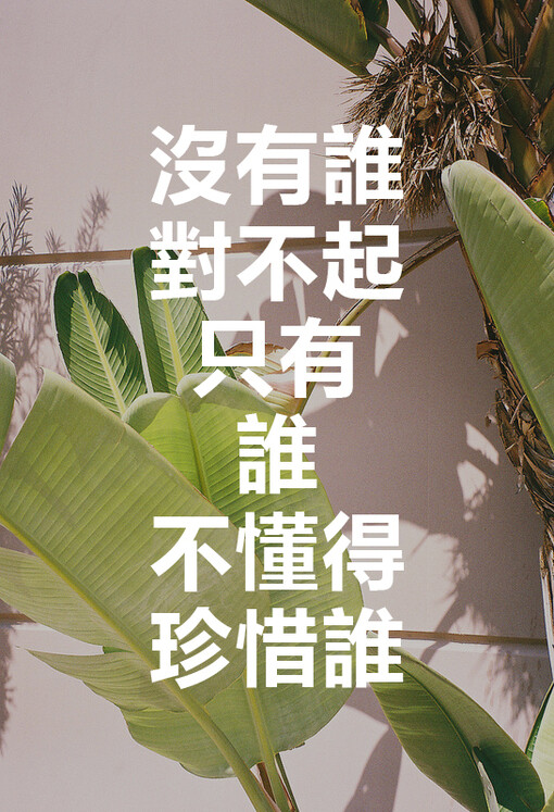 没有谁对不起谁 只有谁不懂得珍惜谁